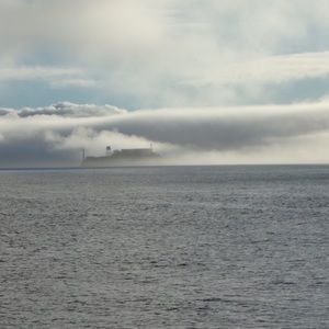 Meet your Posher, Sheena